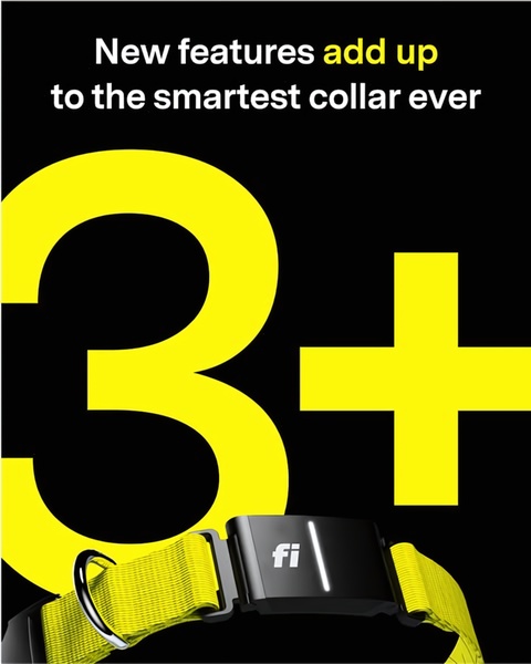 A high-contrast 4:5 static ad featuring a smart dog collar with a bold '3+' headline focused on new software feature updates.